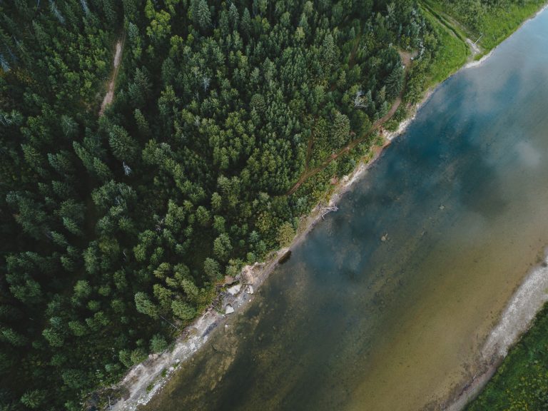 Comment les drones révolutionnent le domaine de  l’agriculture ?